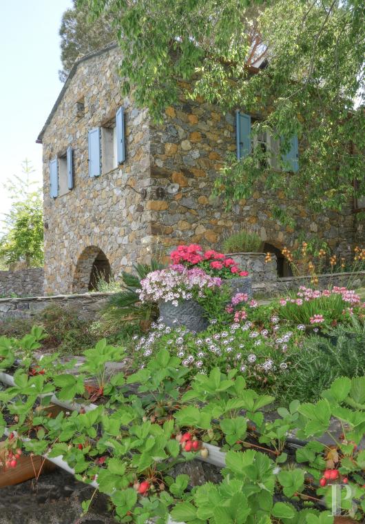 demeures et maisons a vendre france corse   - 2